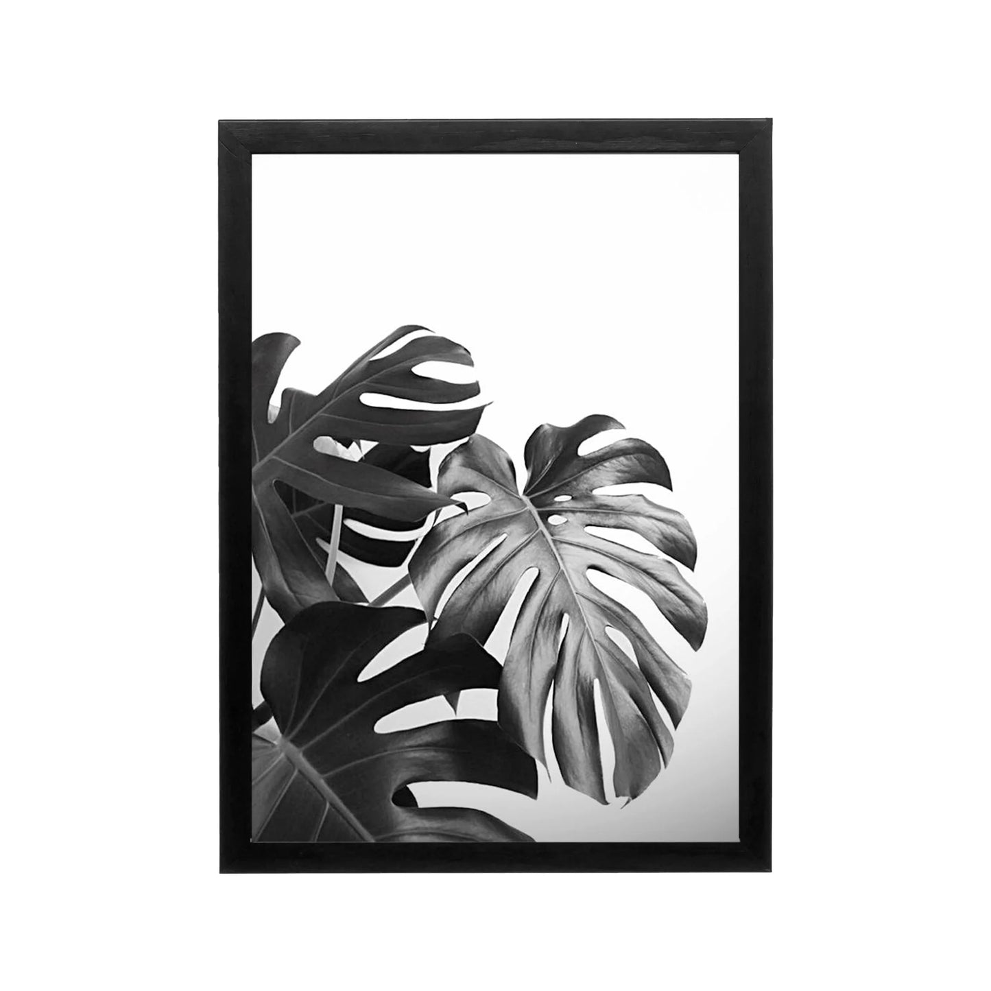 Black and white monstera leaf poster with high contrast minimal style for modern living room or hallway