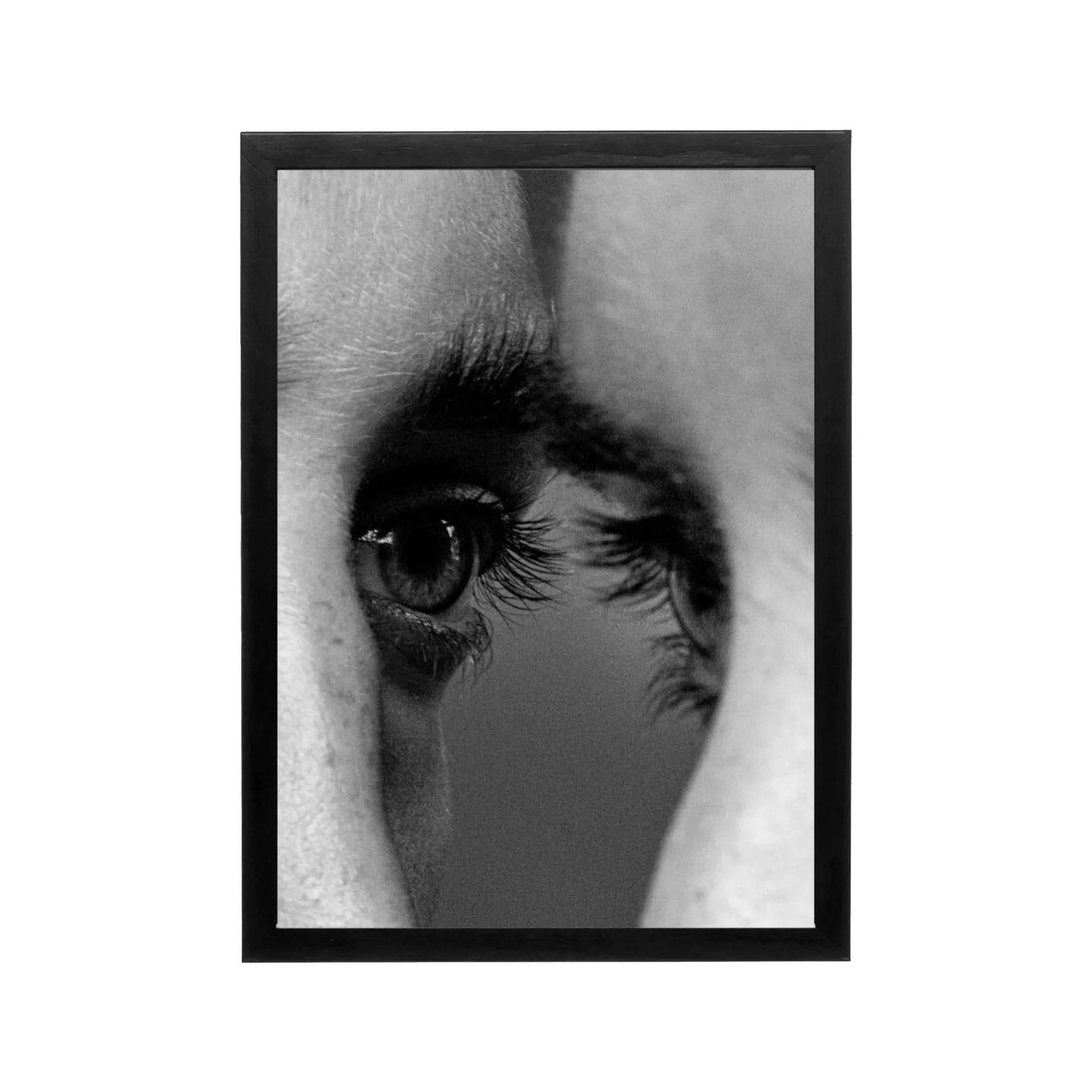 Black and white close-up eye portrait with dramatic contrast for minimalist living room or office wall art