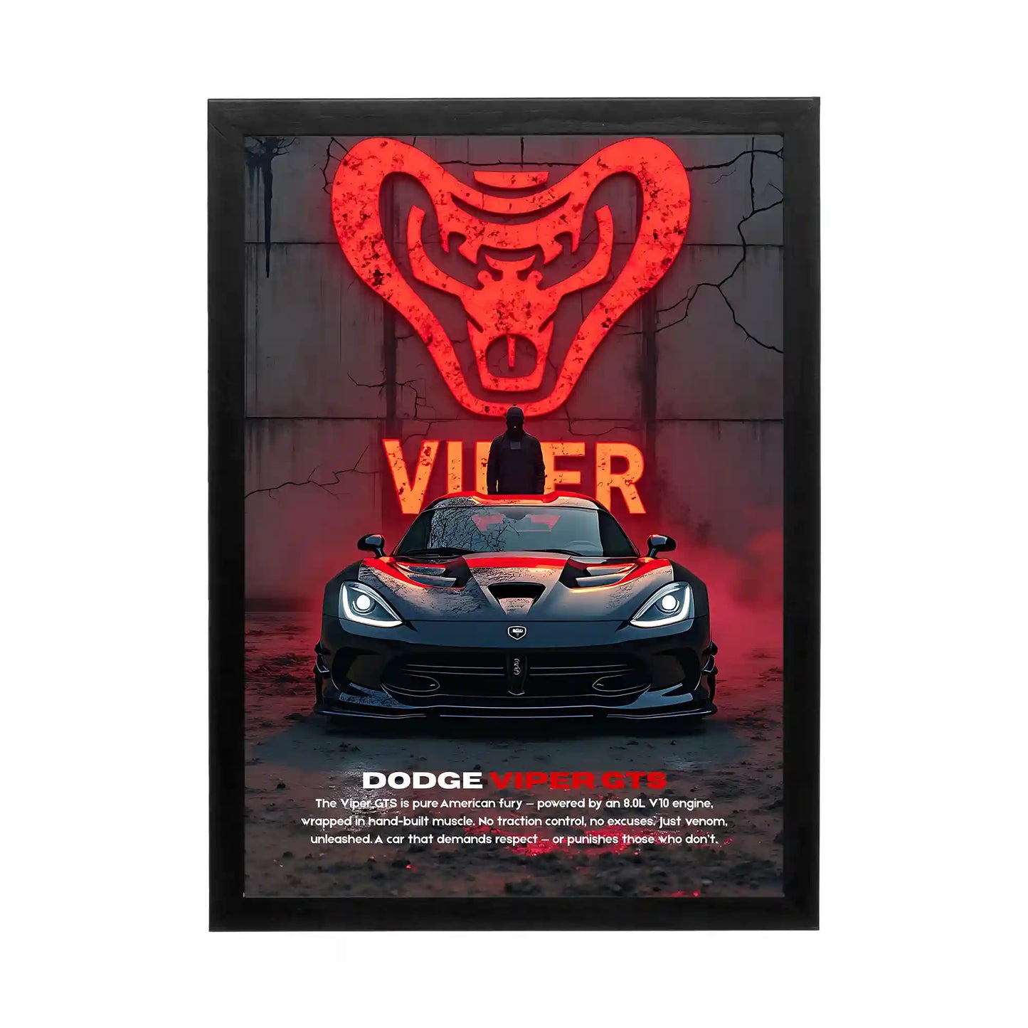 Dodge Viper GTS 'Viper Fury' Frame