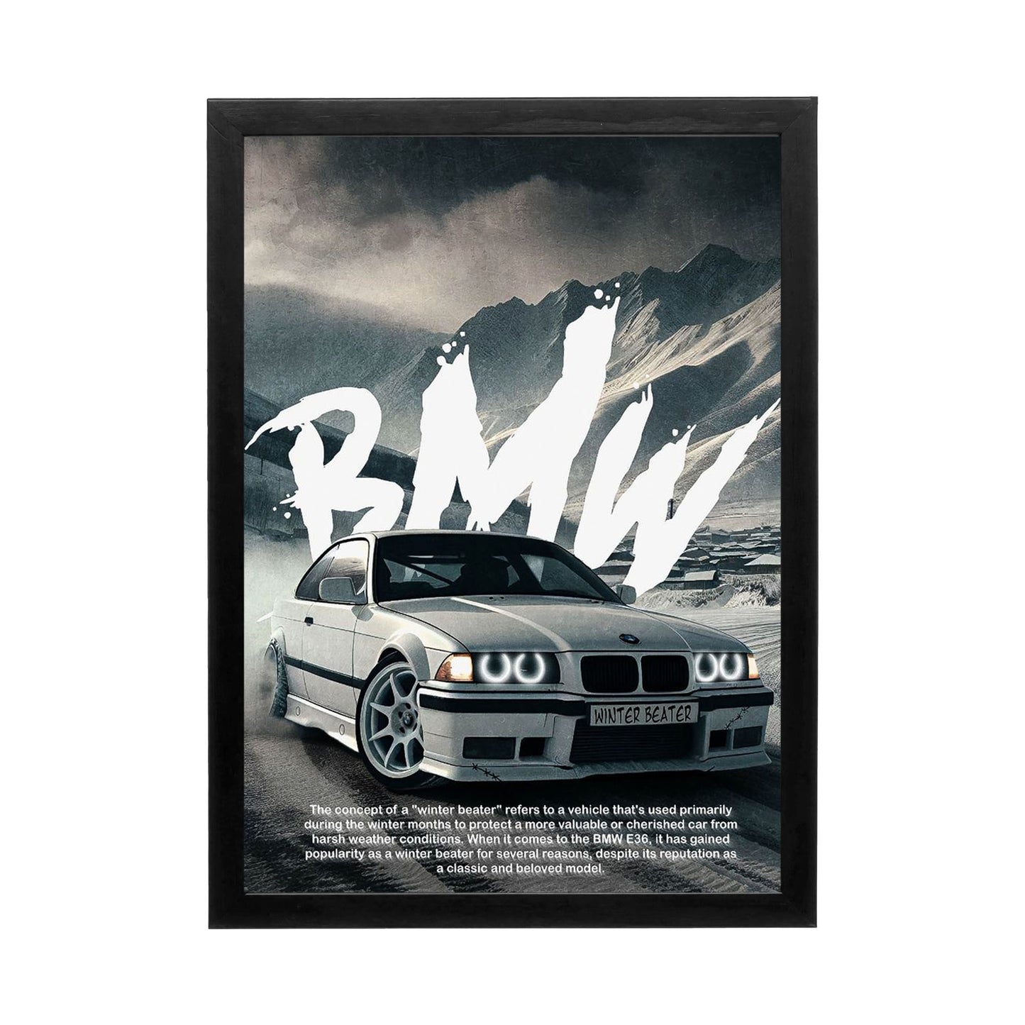 BMW 'Winter Beater' Frame