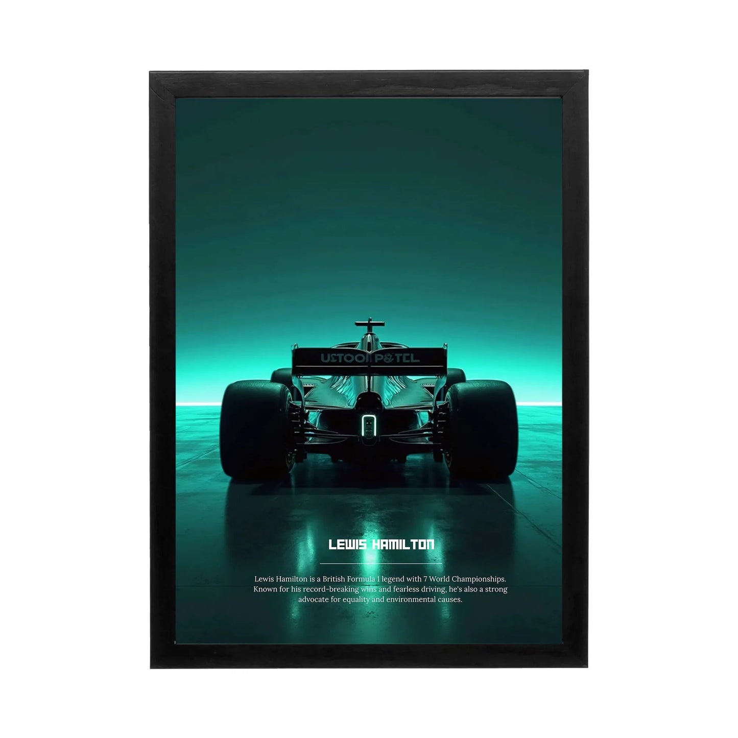 Mercedes Formula 1 'Champion's Drive' Frame